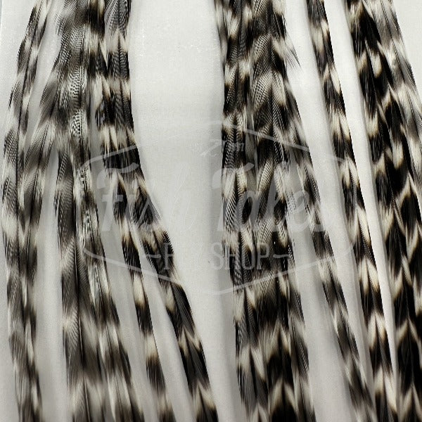 Whiting Farms 100-Pack Saddle Hackle
