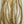 Whiting Farms 100-Pack Saddle Hackle