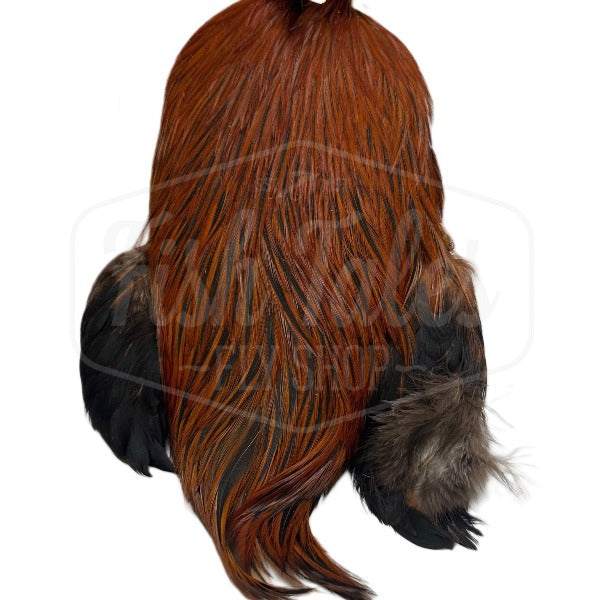 Whiting Farms 4B Rooster Cape