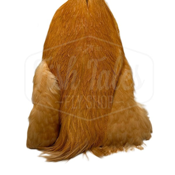 Whiting Farms 4B Rooster Cape