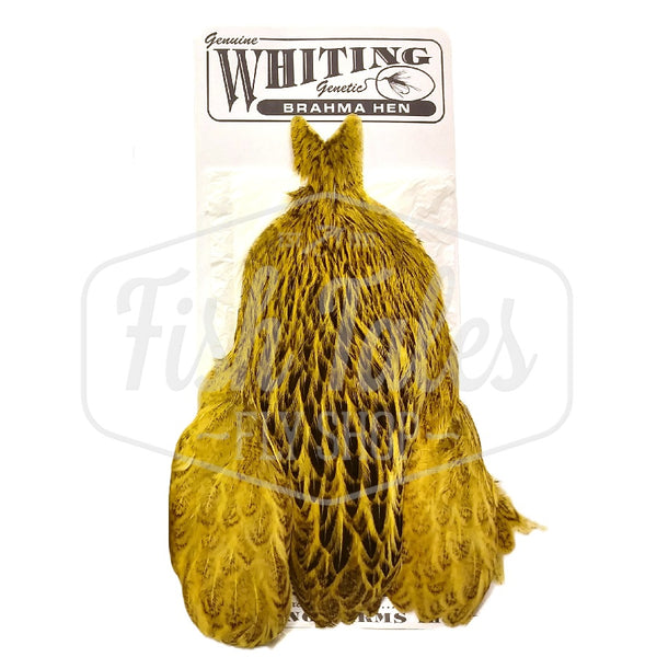Whiting Farms Brahma Hen Cape