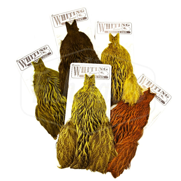 Whiting Farms Brahma Hen Cape