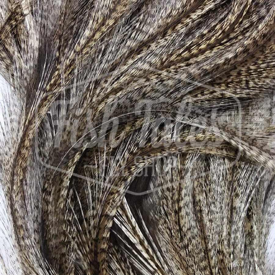 Coq De Leon | Specialty Feathers | Fly Tying Materials – Fish