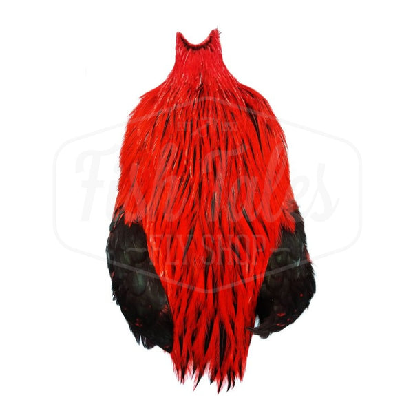 Whiting Farms Freshwater Streamer Rooster Cape