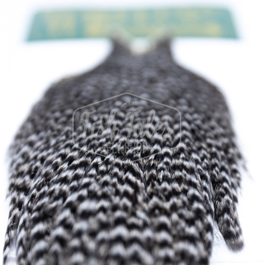 Whiting Farms Hebert Miner Hen Cape | Fly Tying Soft Hackle
