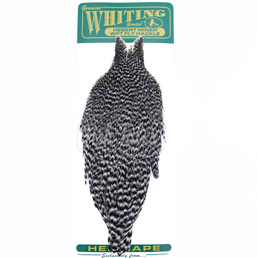 Whiting Farms Hebert Miner Hen Cape | Fly Tying Soft Hackle