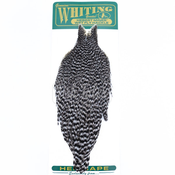 Whiting Farms Hebert Miner Hen Cape