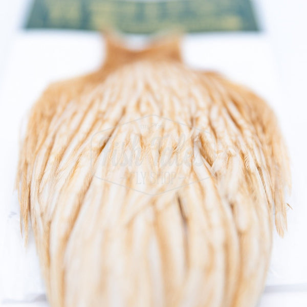 Whiting Farms Hebert Miner Hen Cape