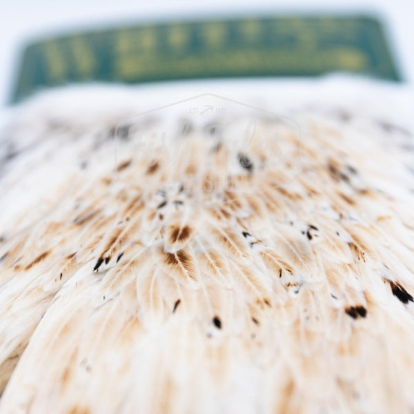 Whiting Farms Hebert Miner Hen Saddle