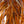 Whiting Farms Hebert Miner Rooster Full Saddle