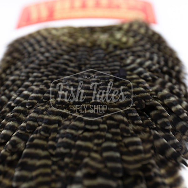 Whiting Farms Hen Saddle