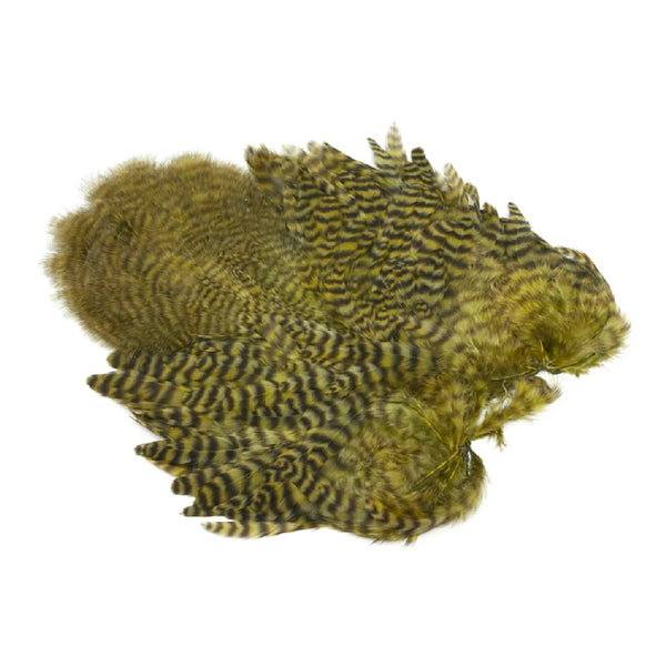 Whiting Farms Rooster Soft Hackle Saddle With Chickabou