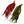 Whiting Farms Schlappen Bundle 6