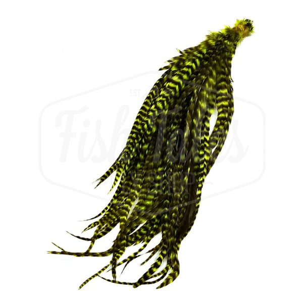 Whiting Farms Schlappen Bundle 6" to 10"
