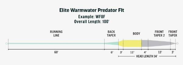 Rio Elite Warmwater Predator Floating Fly Line