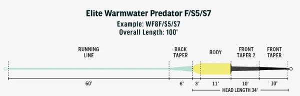 Rio Elite Warmwater Predator Sink Tip Fly Line