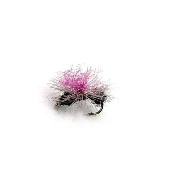 YFG Flies Bloom's Parachute Ant Dry Fly