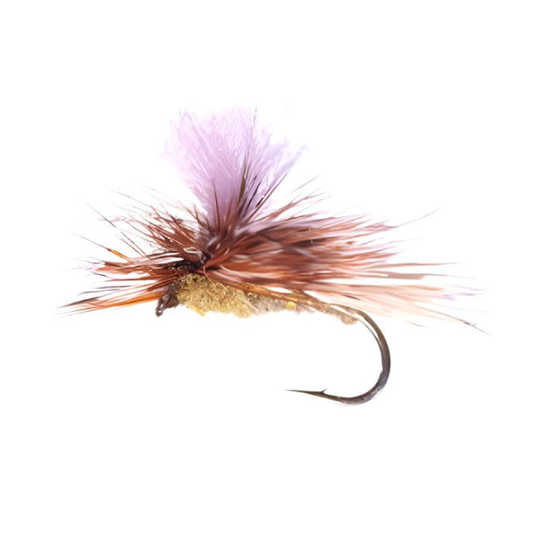 YFG Flies Bloom's Parachute Caddis Dry Fly