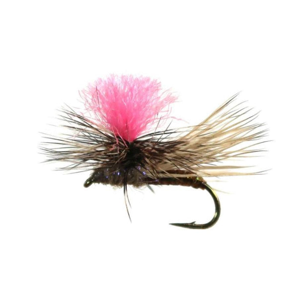 YFG Flies Bloom's Parachute Caddis