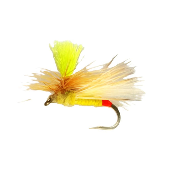 YFG Flies Bloom's Para Sally Dry Fly