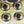 Fish Skull Living Eyes