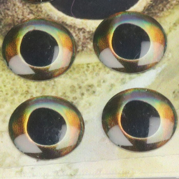 Fish Skull Living Eyes
