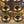 Fish Skull Living Eyes