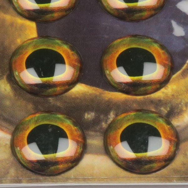 Fish Skull Living Eyes