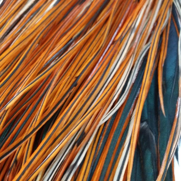 Whiting Farms Rooster Full Saddle | Dry Fly Hackle | Fly Tying