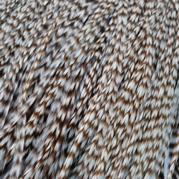 Whiting Farms Rooster Full Saddle | Dry Fly Hackle | Fly Tying