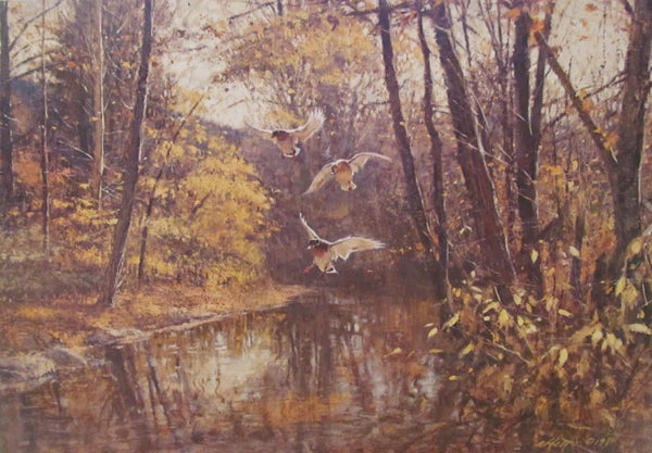 Robert K. Abbett - Mallard Hideaway - Fine Art Print