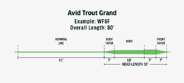 Rio Avid Series Grand Floating Fly Line – Fish Tales Fly Shop