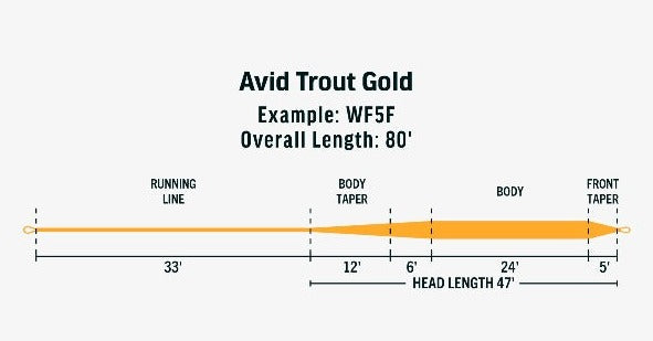 Rio Avid Gold WF Floating Fly Line