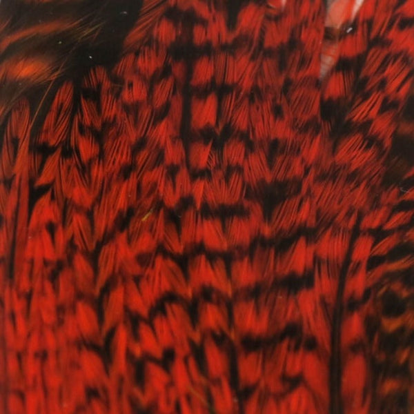 Hareline Half Rooster Cape