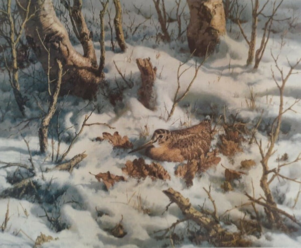 William Hollywood - Winter Woodcock - Fine Art Print