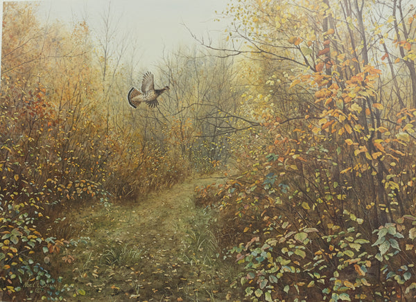 Noel L. Dunn - Crossing the Tote Road Ruffed Grouse - Fine Art Print