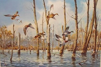 James Killen - Flooded Timber Mallards - Fine Art Print