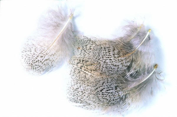 Veniard English Partridge Grey Neck Feathers
