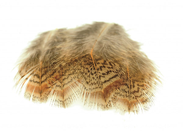 Veniard English Partridge Brown Back Feathers
