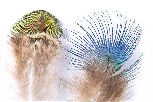 Veniard Peacock Blue Neck Feathers