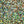 Textreme Bauer's Pike Flash