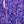 Textreme Bauer's Pike Flash