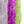 Textreme Wool Blend