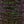 Textreme Body Fly UV
