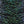 Textreme Metal Braid