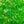 Textreme T-10 Translucent Chenille