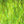 Hareline Baitfish Emulator Flash