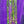 Hareline Magnum Bling Rabbit Strips