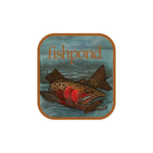 All Fishpond – Fish Tales Fly Shop