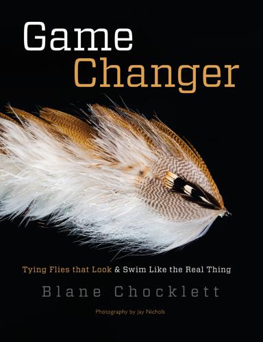 Game Changer by Blane Chocklett